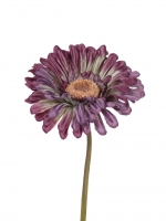 Gerbera 48cm purper/groen